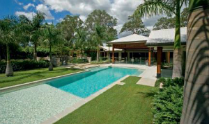 Pleasure of Palms